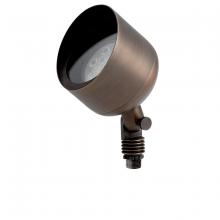  15487CBR - PAR 36 CBR Uplight