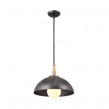  52476AVI - Pendant 1Lt