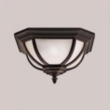  9848RZ - Outdoor Ceiling 2Lt