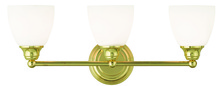  13663-02 - 3 Light Polished Brass Bath Light