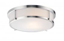  10270WTSN - Rogue E26-Flush Mount