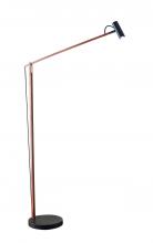  AD9101-15 - ADS360 Crane LED Floor Lamp