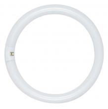 Satco Products Inc. S6500 - 22 Watt; T9; Circline Fluorescent; 4100K Cool White; 62 CRI; 4-Pin base