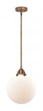  288-1S-AC-G201-10 - Beacon - 1 Light - 10 inch - Antique Copper - Cord hung - Mini Pendant