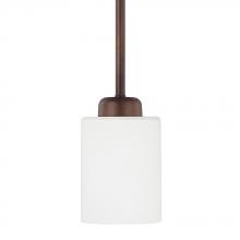  315211BZ-338 - 1 Light Pendant