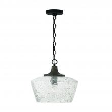  347611CK - 1-Light Pendant