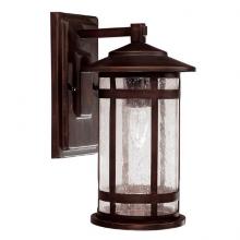 Capital 9951BB - 1 Light Outdoor Wall Fixture