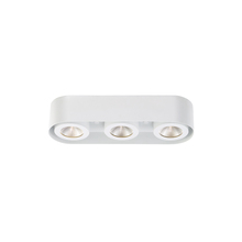  33618-012 - Nymark, 3LT LED Surface Mnt, Wht