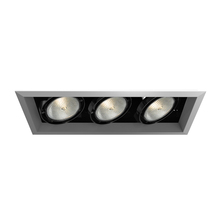  TE133-0N - MuLT, Par30, Trm, 3LT , 75w, Pt/blk