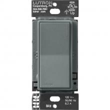 Lutron Electronics ST-RS-SL - SUNNATA COM SW SL