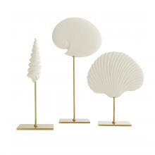  DC9000 - Shell Sculptures, Set of 3