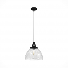 Hunter 19249 - Hunter Cypress Grove Natural Black Iron with Clear Holophane Glass 1 LT Pendant Ceiling LT Fixture