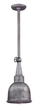 Troy F2947 - RALEIGH 1LT HANGING MEDIUM