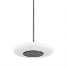  PI1896701S-BLNK - 1 LIGHT PENDANT