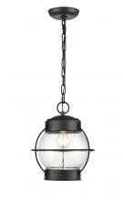  4172-PBK - Aremelo 1-Light Outdoor Hanging Lantern Powder Coated Black