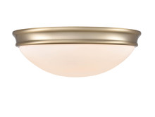  5225-MG - Flushmount Ceiling Light