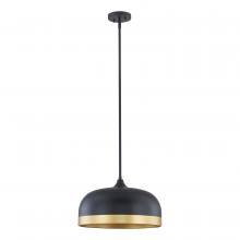  99601-MB - Amarra Indoor Pendant