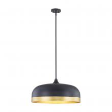  99602-MB - Amarra Indoor Pendant