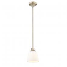  492001-MG - Mini-Pendant light