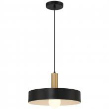  23798-BWA - 1 Light Pendant