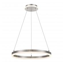  P1910-084-L - LED Pendant Fixture