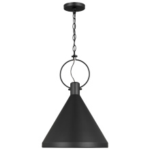 Visual Comfort & Co. Studio Collection 6684901EN3-112 - Lyon Medium One Light Pendant