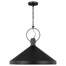 Visual Comfort & Co. Studio Collection 6884901EN3-112 - Lyon Large One Light Pendant