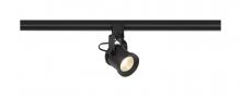  TH489 - LED; 12 Watt Forged Track Head; Black; 36 deg. Beam Angle