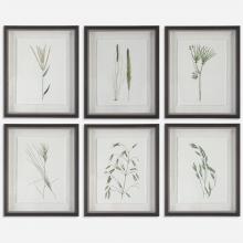  41459 - Forest Finds Framed Prints, S/6