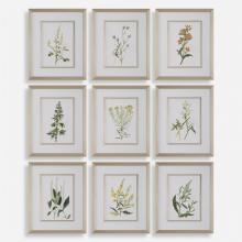  32339 - Botanical Flowers Framed Prints, S/9