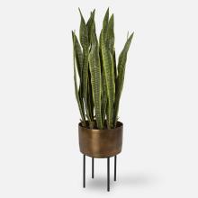  60185 - Fasita Brass Planter 2 Cartons