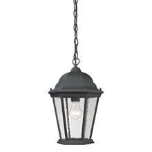  8101EH/65 - Thomas - Temple Hill 10'' Wide 1-Light Outdoor Pendant - Matte Textured Black