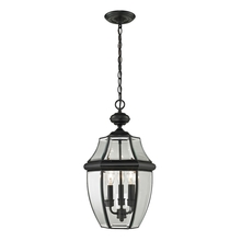  8603EH/60 - Thomas - Ashford 12'' Wide 3-Light Outdoor Pendant - Black